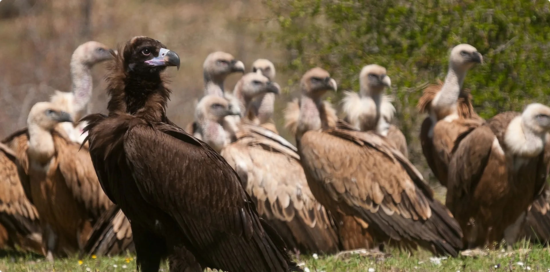 Birding — entorno de La Casa del Aire